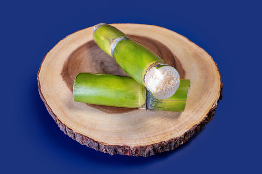 Sugar Cane