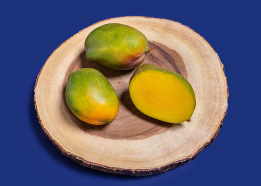 Three julie mangoes on a wooden slice against a blue background