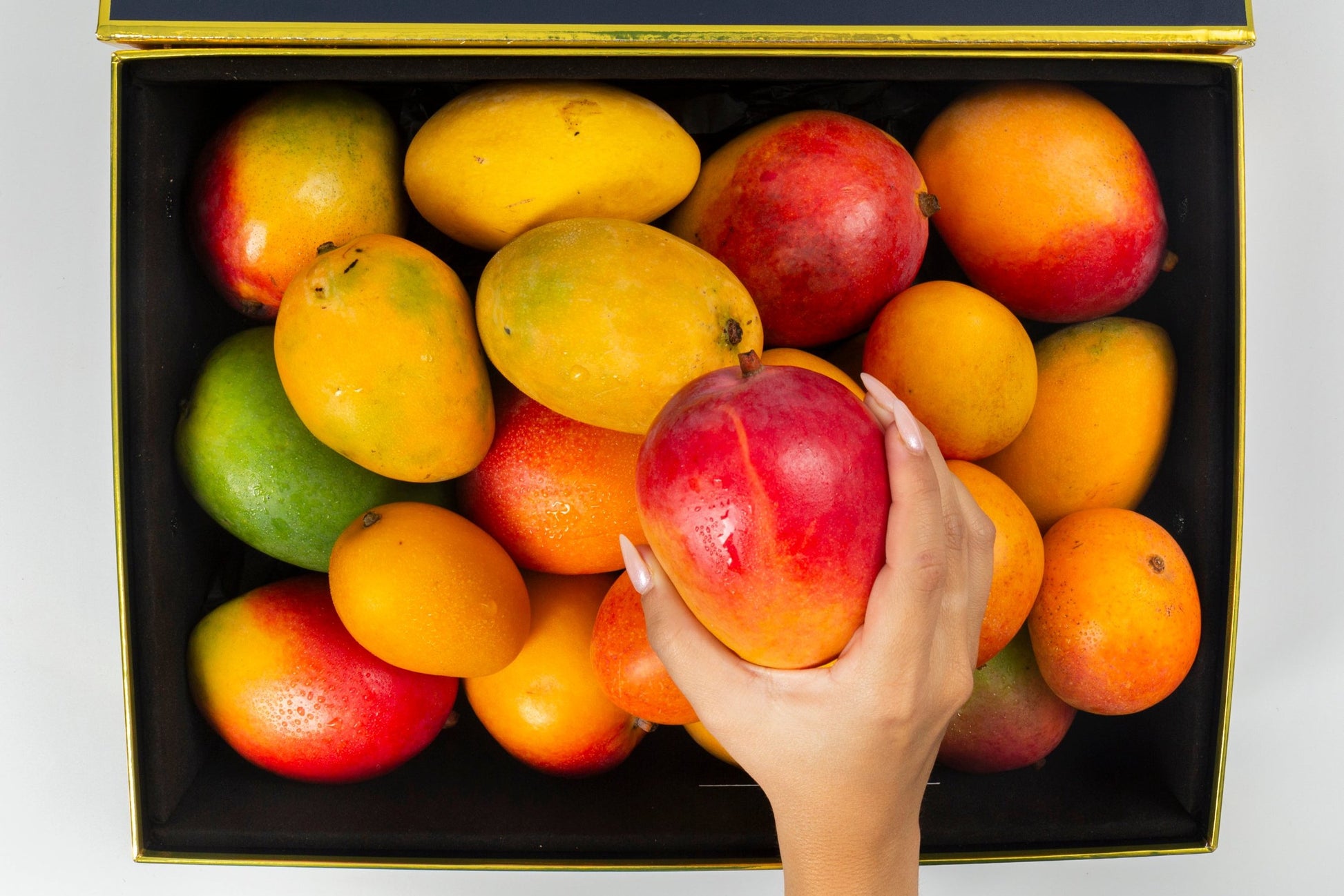 Mango Selection Exotic Fruit box Open W/hand 